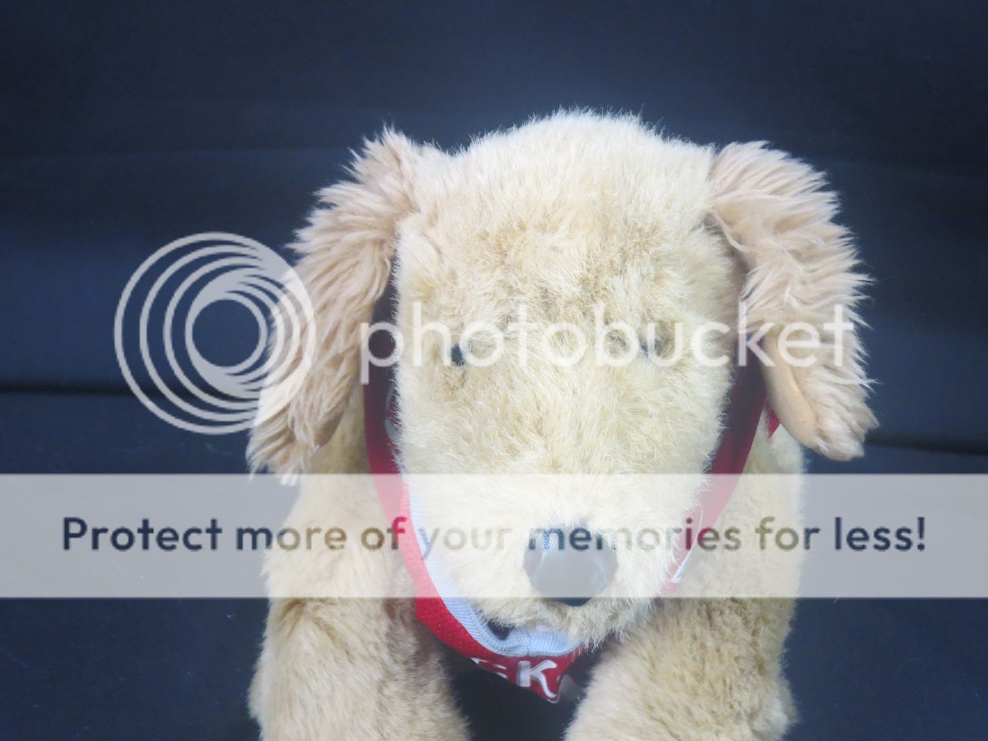 rocket the dog stuffed animal